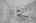 Blurred preview of media: DSC09109