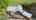 Blurred preview of media: DJI_0004