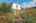 Blurred preview of media: 06