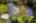Blurred preview of media: Aerial 06