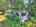 Blurred preview of media: DJI_20250603145250_0686_D_7_D_8_D_easyHDR