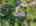 Blurred preview of media: 9 Foster Street Drone 0007