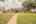 Blurred preview of media: Image-43