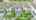 Blurred preview of media: DJI_0257