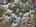 Blurred preview of media: DJI_20250307115521_0816_D_7_D_8_D_easyHDR