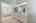 Blurred preview of media: Nerine_081