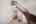 Blurred preview of media: DSC01243