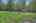 Blurred preview of media: NZ9_9591