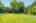 Blurred preview of media: 420 Upper Gage Ave, Hamilton _ JON MACHADO58