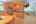 Blurred preview of media: IMG_1570_1_2