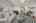 Blurred preview of media: 11