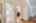 Blurred preview of media: Interiors-6