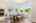 Blurred preview of media: IMG_1625