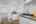 Blurred preview of media: DSC03771
