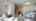 Blurred preview of media: 20-Cullcastle-Street-Ajax-06062026_215723