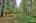 Blurred preview of media: IMG_2155_6_7_easyHDR