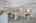 Blurred preview of media: DSC02147