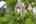 Blurred preview of media: 20250808L_lg_JW0010