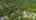 Blurred preview of media: Stonegate-1