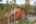 Blurred preview of media: 0314 Coronet Drive, Blue River, Colorado, 80424 - Web-61