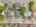 Blurred preview of media: 26 Richardson Avenue 26 A Wakefield Massachusetts Job 39127 0076