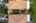 Blurred preview of media: iPixx_10_44