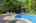 Blurred preview of media: Nerine_030