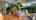 Blurred preview of media: Unknown media