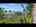 Blurred preview of media: Unknown media