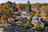 Blurred preview of media: Aerial 14