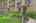Blurred preview of media: DSC06558