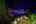 Blurred preview of media: 4Sept0063
