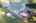 Blurred preview of media: 5