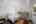 Blurred preview of media: DSC08701