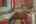 Blurred preview of media: 17