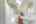 Blurred preview of media: 136