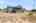 Blurred preview of media: 201 Quail Fritch-37