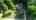 Blurred preview of media: DJI_0182