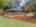 Blurred preview of media: 1-36
