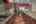 Blurred preview of media: 19