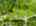 Blurred preview of media: 1-726-0862