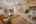 Blurred preview of media: PAX_3069