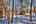 Blurred preview of media: IMG_0410_1_2_easyHDR