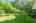 Blurred preview of media: 277 Main Street Bolton Massachusetts Job 38618 0008