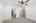 Blurred preview of media: 025