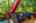 Blurred preview of media: 16