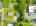 Blurred preview of media: 1-726-0367