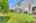 Blurred preview of media: 27