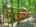 Blurred preview of media: DJI_20260608135741_0512_D_3_D_4_D_easyHDR