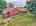 Blurred preview of media: DJI_20260625122648_0435_D_9_0436_D_9_0437_D_easyHDR
